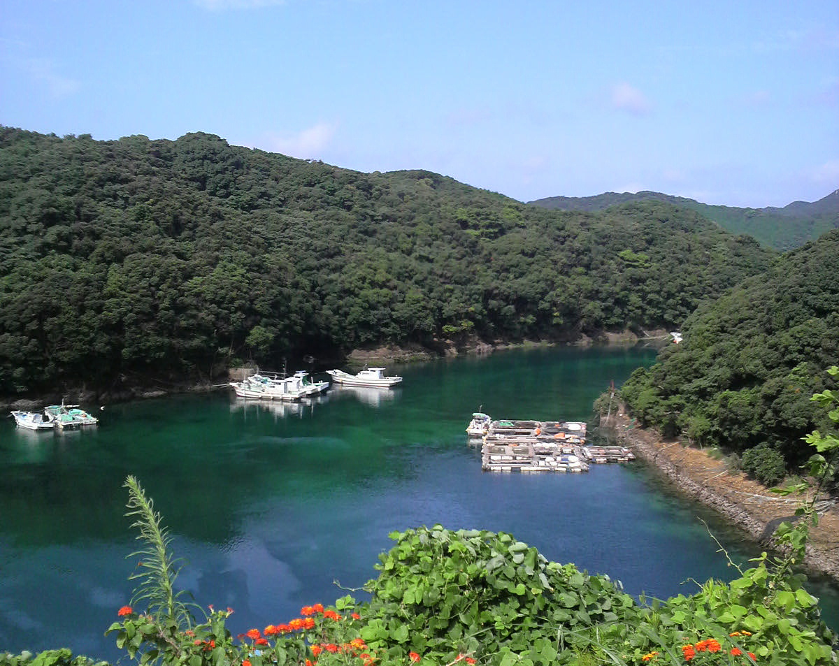 上 五島 ストア バス