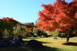 涸沼自然公園キャンプ場