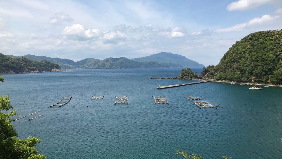 福井県綾南地域でお得な 若狭湾レストランバス21 実施 夜間含む7コース オープントップで食を楽しみ産地や観光地めぐり よい旅ニュース通信 日本のすみずみを旅先に