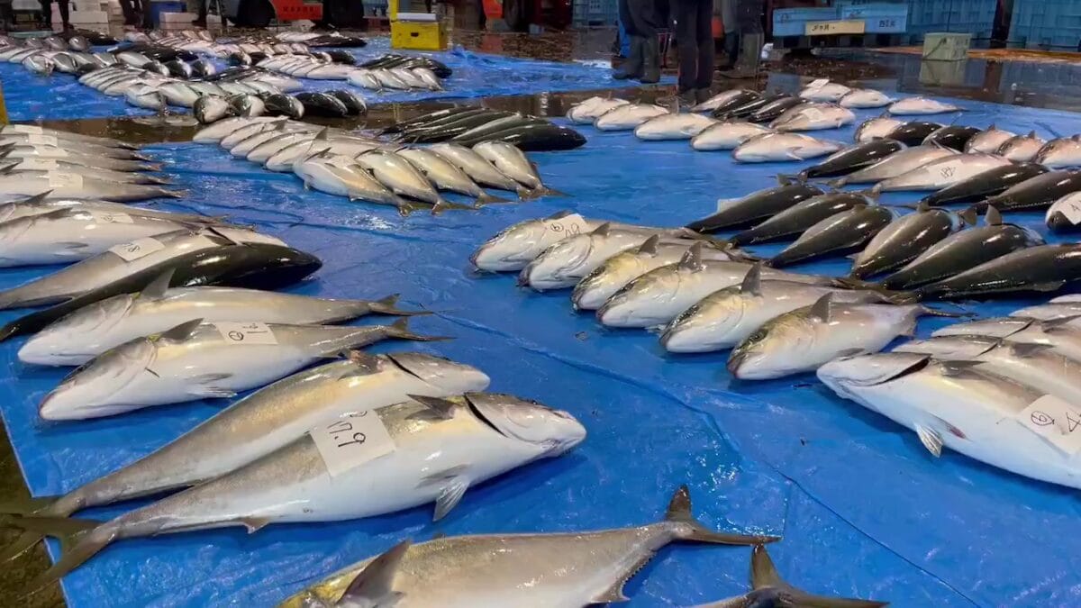 bbc13fbaf5f05d392d30fe121fb334