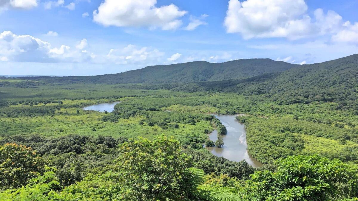 最後の楽園「西表島」、島内5カ所立ち入り人数制限 3月1日に開始－住民